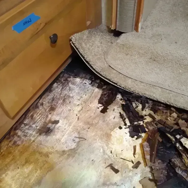 Wood Floor Water Damage in Lakeville, MN